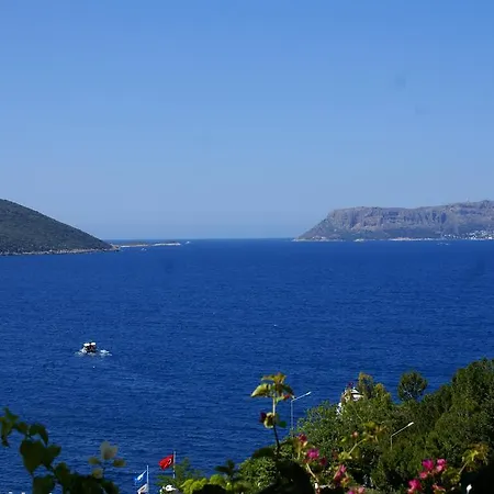 게스트하우스 Cemil 카스